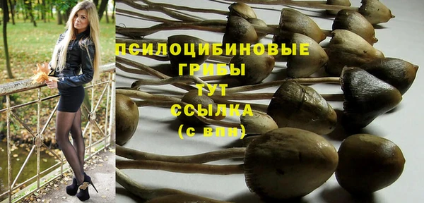 тгк Лихославль