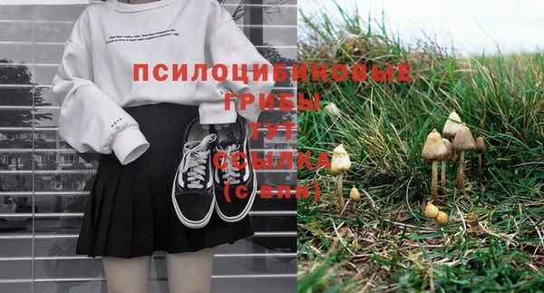 первитин Лиски